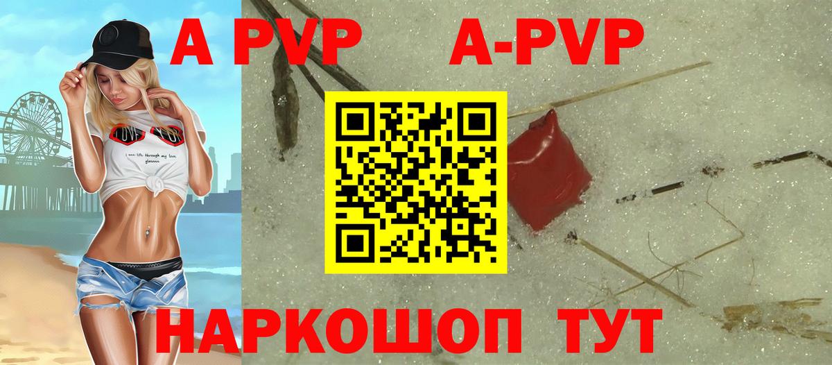 A PVP СК КРИС Прокопьевск