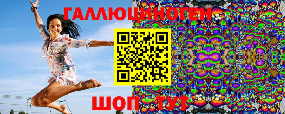 Псилоцибиновые грибы Psilocybine cubensis Прокопьевск