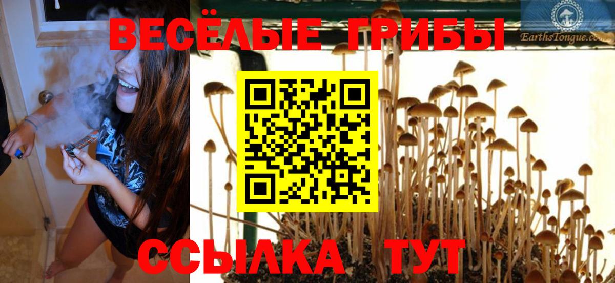 Галлюциногенные грибы GOLDEN TEACHER  Вход с VPN  Прокопьевск 
